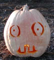 Flat Face, Nipomo Pumpkin Patch, carving idea